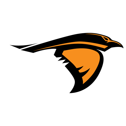 Anderson (IN) Ravens Logo