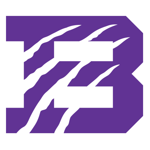 Bethel University Tennessee Wildcats Logo