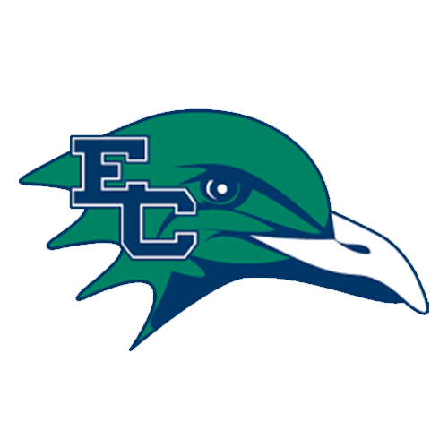 Endicott College Gulls Logo