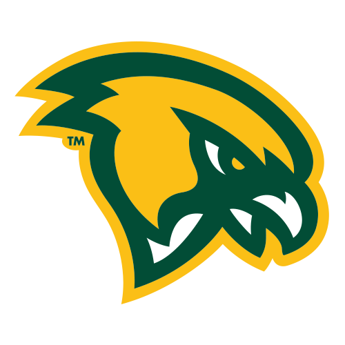 Fitchburg State Falcons Logo