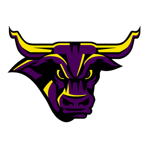 Minnesota State Mavericks Logo