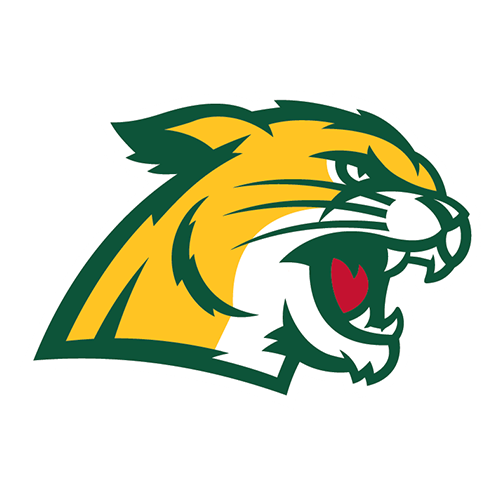 Northern Michigan Wildcats Logo