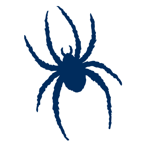 Richmond Spiders Logo