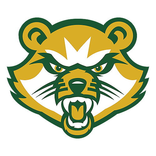 Saint Vincent Bearcats Logo