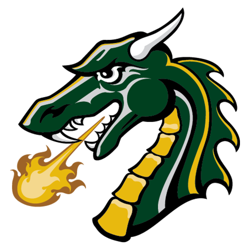 Tiffin Dragons Logo