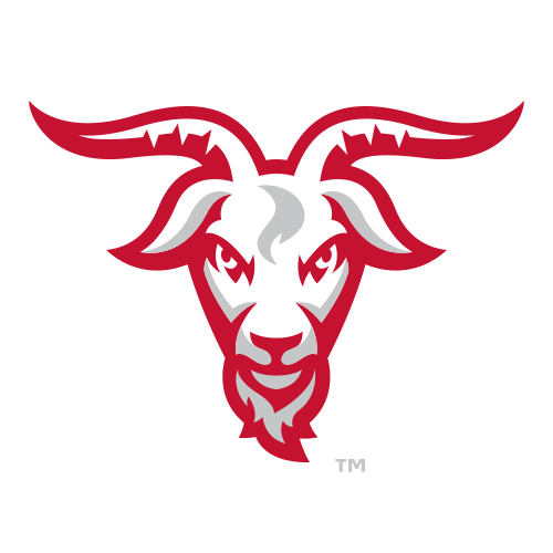 Worcester Polytechnic Institute Engineers Logo