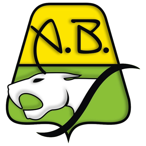 Bucaramanga Logo
